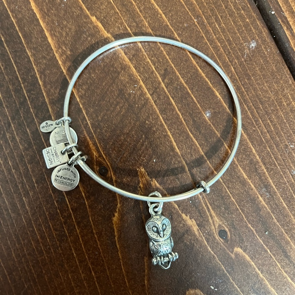 Alex and Ani Owl charm bangle
